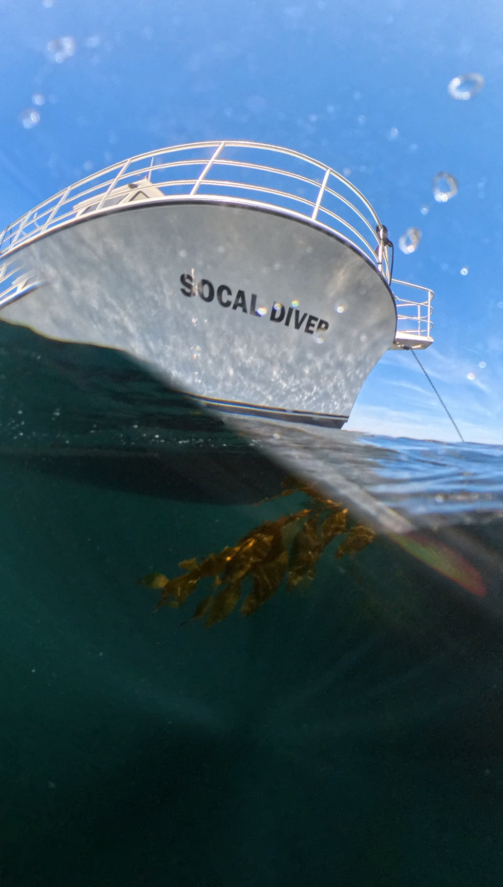 Discover Local Diving (Guided Dives)