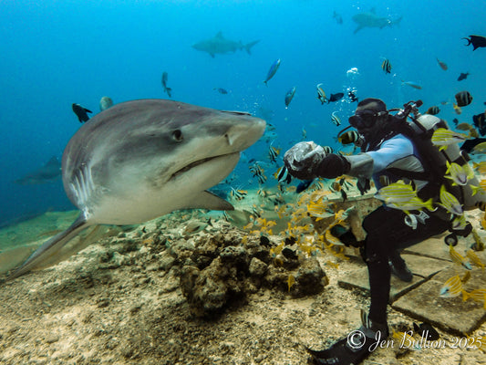 Beqa Lagoon Resort, Fiji - July 17-24, 2027