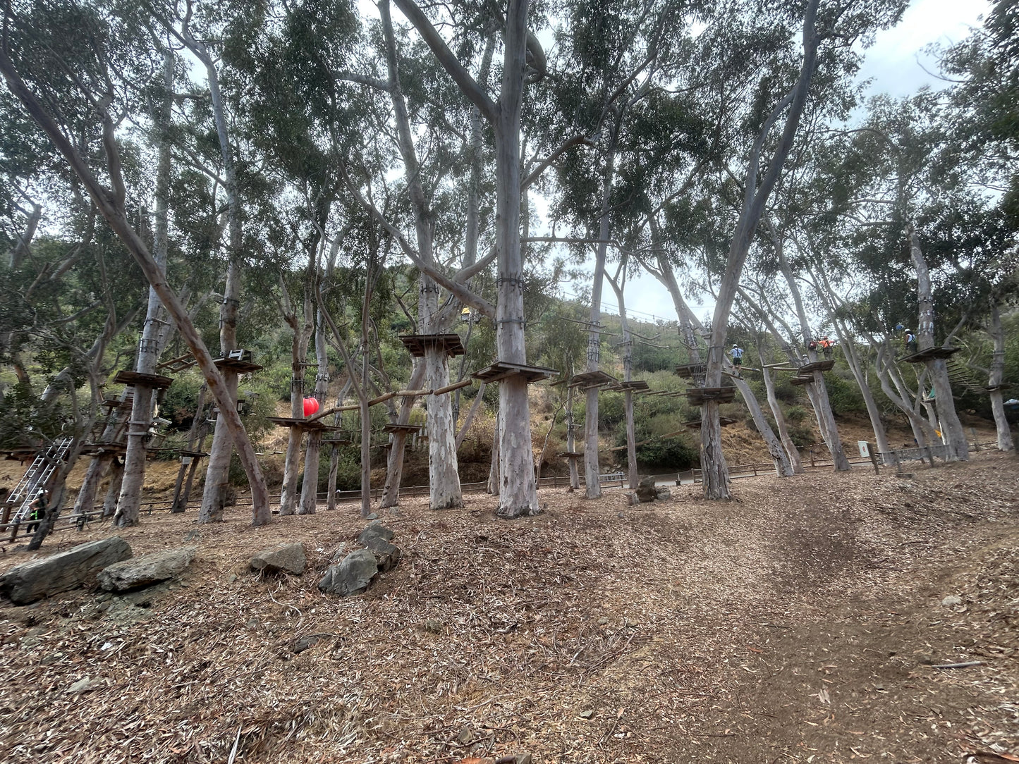 Catalina Overnight Adventure - October 2-4, 2026