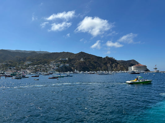 Avalon Harbor