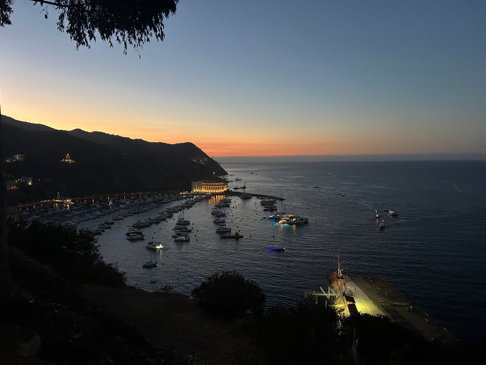 Avalon Harbor at Night