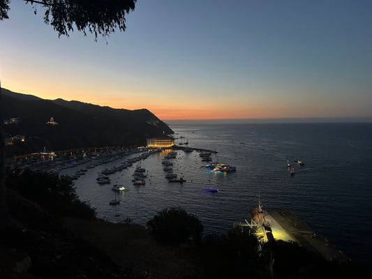 Avalon Harbor at Night