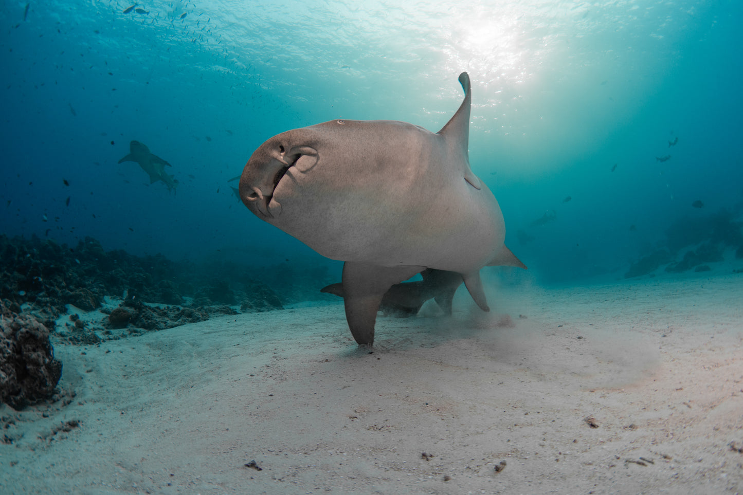 Heart of the Maldives