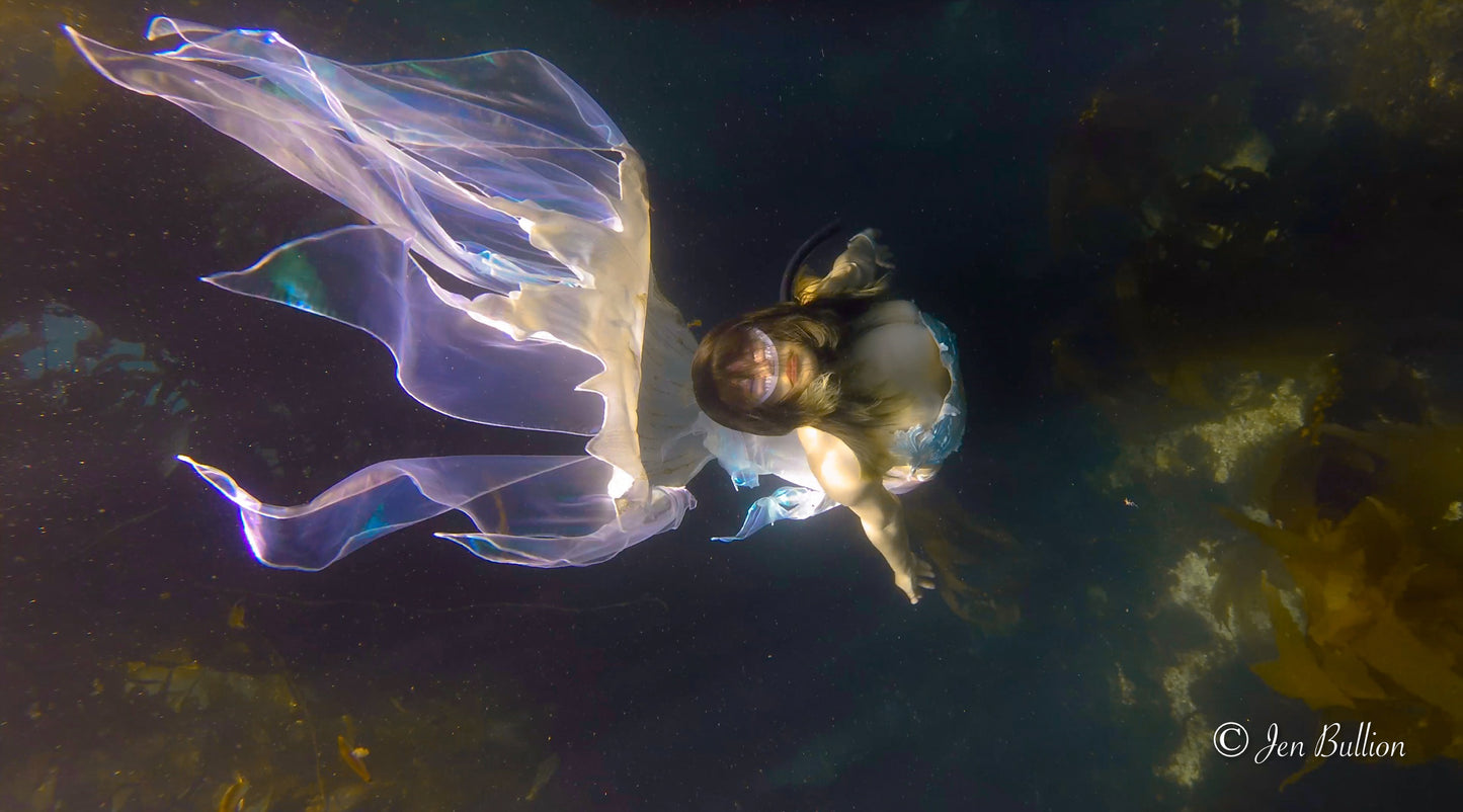 Discover Local Diving (Guided Dives)