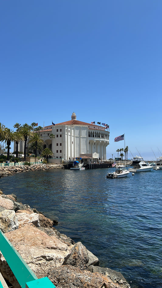 Discover Local Diving (Guided Dives)
