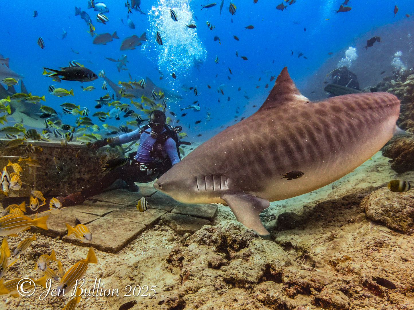 Beqa Lagoon Resort, Fiji - July 17-24, 2027