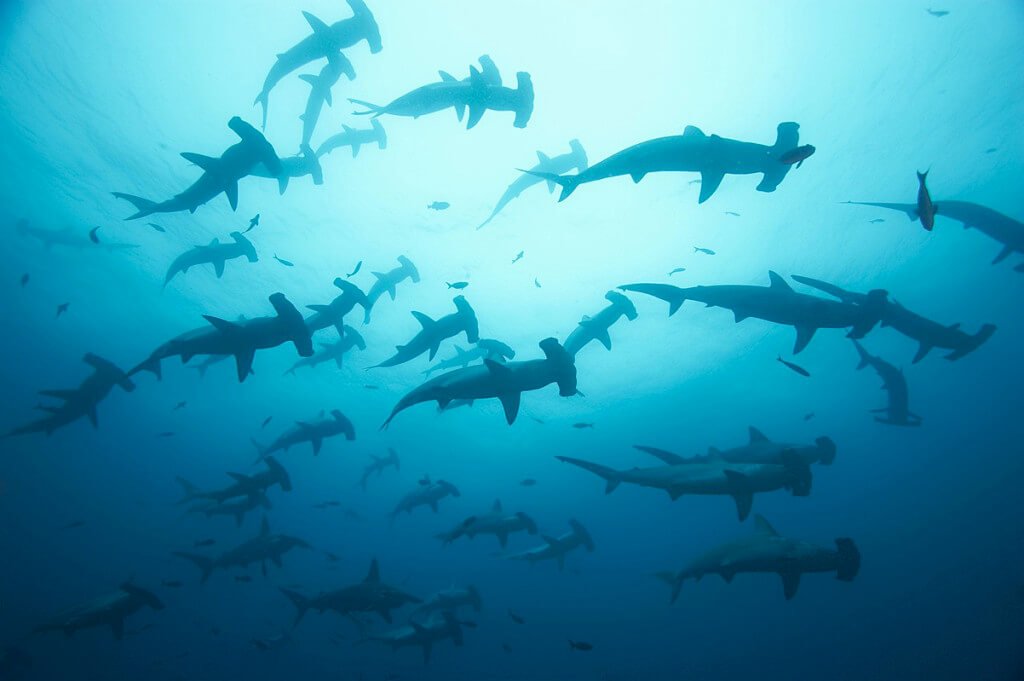 Heart of the Maldives